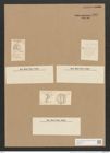 Campylodiscus ralfsii W. Sm. (de-Toni-Nr.: Genus 57, Species 2444) Zeichnungen Sammlung Grunow Nr. 4908 (NHMW-BOT-W0373111)
